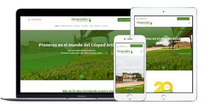 website customization