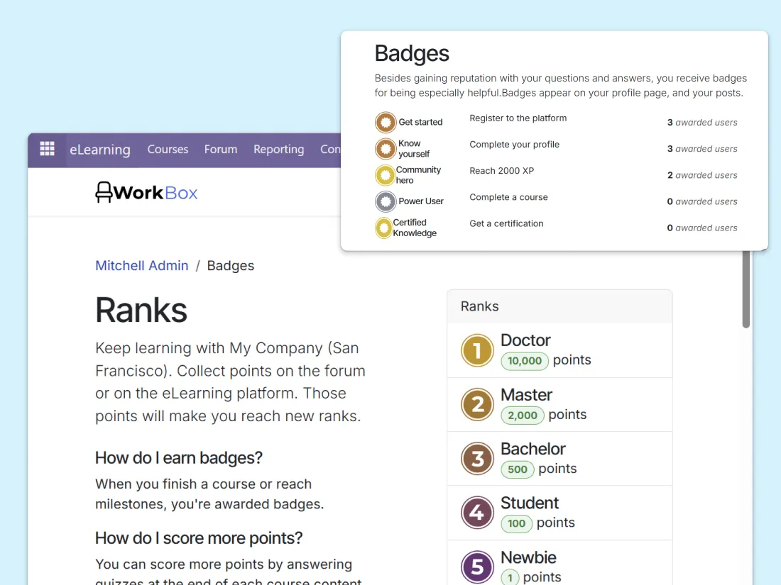 Screenshot showing the voting and reputation system along with the badges