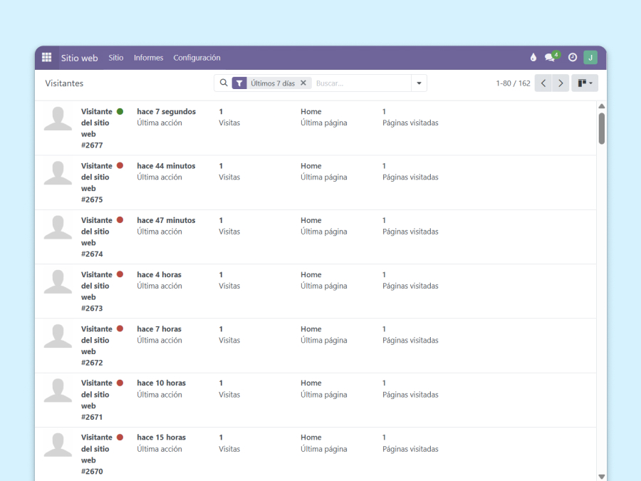 Screenshot showing a website's visitor history with various data