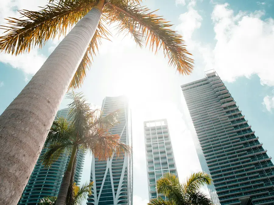 Odoo partner in Miami